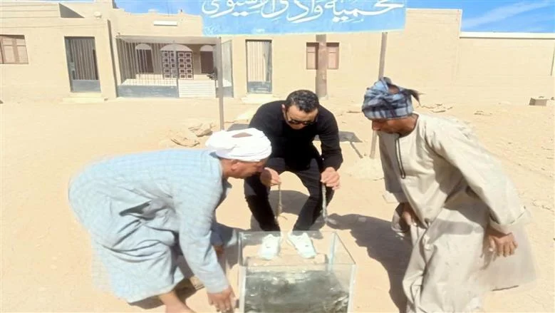 صورة 4 - مفاجأة في قطار أسوان–الإسكندرية.. ضبط 30 تمساحًا بأسيوط ونفوق 3